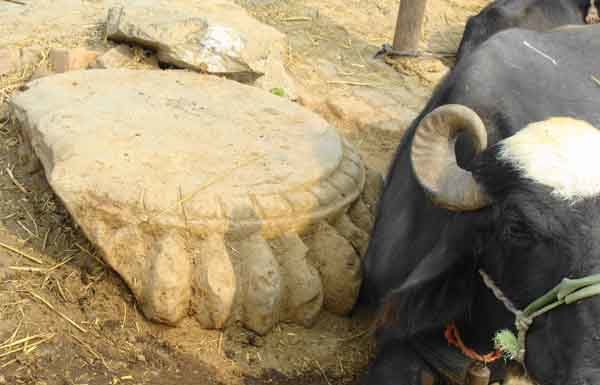 अपसढ़ में मिला था तक्षशिला के समकालीन अवशेष, लेकिन सुरक्षा भगवान भरोसे 