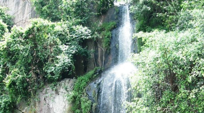 खत्म होगा ककोलत का वनवास, सैलानियों से होगा ककोलत गुलजार