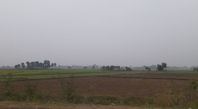 नवादा एक लाख 69 हजार किसानों ने मांगा सुखाड़ अनुदान, कौआकोल में सबसे ज्यादा सूखाड़ पीड़ितों को मिलेगा अनुदान