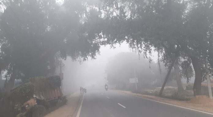 ठंड का कहर जारी तापमान 5 डिग्री तक पहुंचा