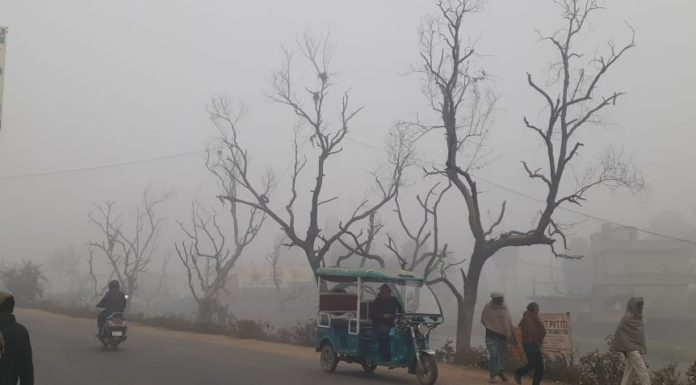 ठंड ने तोड़ा रिकार्ड ,5 डिग्री तापमान पर ठिठुरे लोग