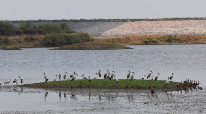 उठो जागो…. क्योंकि हर रोज जीतना है जीत के लिए हर रोज भरनी होगी उड़ान