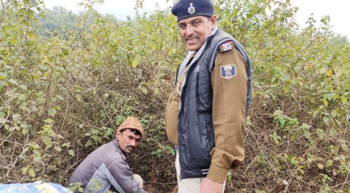 रजौली में शराब की पांच अवैध भट्ठी ध्वस्त, संचालक फरार