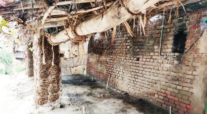 एक ही रात में नारदीगंज के दरियापुर से 6 लोगों के 11 मवेशियों की चोरी