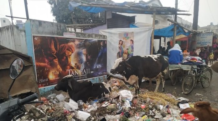 कचरे की ढेर और अतिक्रमण से घिरा शहर का शौचालय