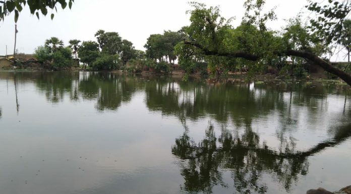 जिला में मत्स्य विभाग के 496 जलकर में मात्र 215 की बंदोबस्त और 6 जलकर पर अवैध कब्जा