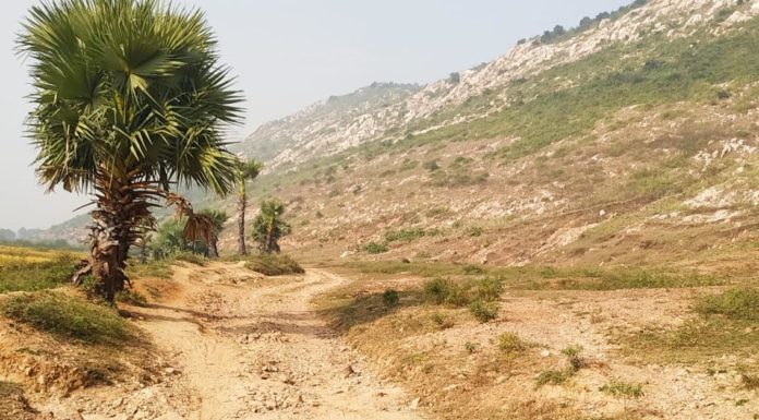 35 सौ की आबादी के बीच मधुबन और मोतनाजे गांव तक मरीज के बीच नहीं पहुंच पा रही एंबुलेंस