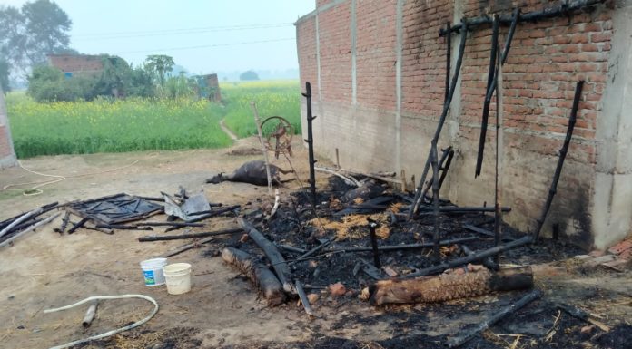 भीषण आग लगने से गौशाला जलकर हुआ खाक, दो गाय की हुई मौत