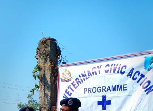 एसएसबी के द्वारा चलाया गया पशु चिकित्सा अभियान