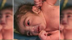 नवादा सड़क किनारे मिला नवजात शिशु का शव, इलाके में मचा हड़कम्प