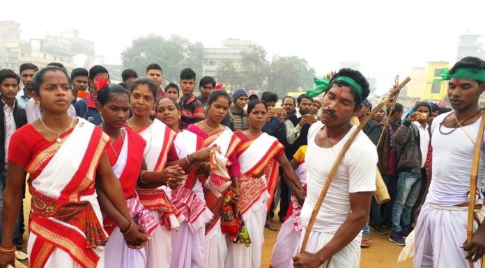 जीविका द्वारा आदिवासी नृत्य का आकर्षक झांकी दिखाई गई