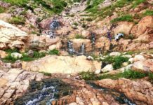 जिस पहाड़ी से बरस रही थी आग, बारिश के कारण फूट पड़ा झरना