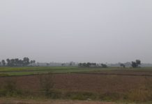 नवादा एक लाख 69 हजार किसानों ने मांगा सुखाड़ अनुदान, कौआकोल में सबसे ज्यादा सूखाड़ पीड़ितों को मिलेगा अनुदान