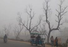 ठंड ने तोड़ा रिकार्ड ,5 डिग्री तापमान पर ठिठुरे लोग