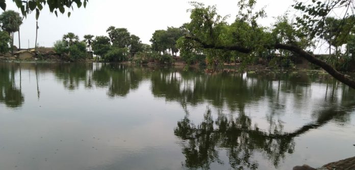 IMG-20200109-WA0038