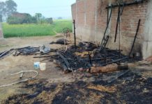 भीषण आग लगने से गौशाला जलकर हुआ खाक, दो गाय की हुई मौत