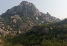 2019 अपहरण कर तीन की हत्या