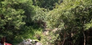 विश्व आर्द्र नमी भूमि दिवस पर वन विभाग ने चलाया जागरूकता अभियान